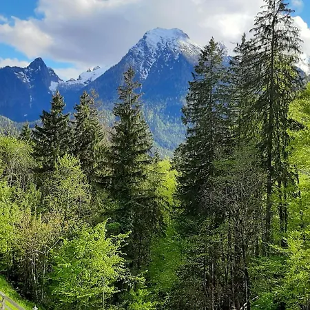 Apartmán Haus Gruenbach *