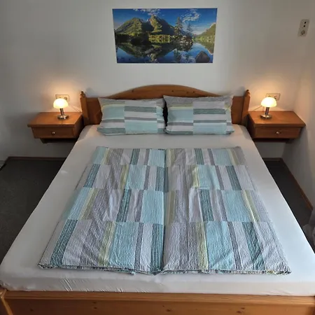 Apartment Haus Grünbach *